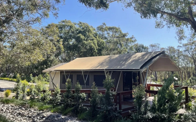 Port Stephens Koala Sanctuary