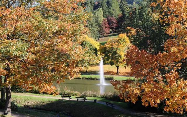 Ferienhaus Orkeklause