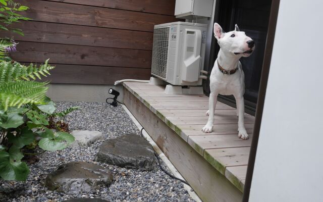 Nishijinkita Hagi Ajisai