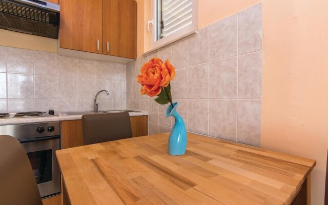 Amazing Apartment in Pridraga With Wifi