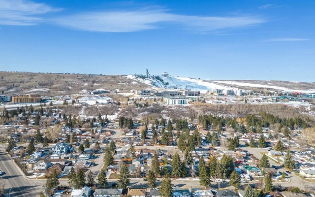 The Owl Petsok 3 Queenbd Firepit 3smarttvs