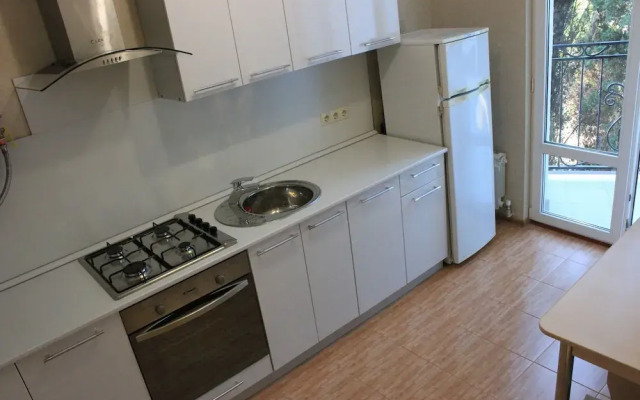 Apartment on Tulpanov St. 1-3