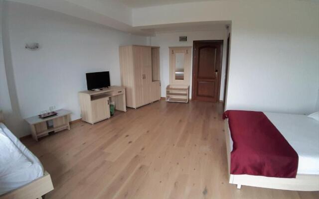 Hotel Insula