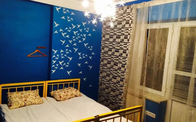 Zebra Hostel & Tours