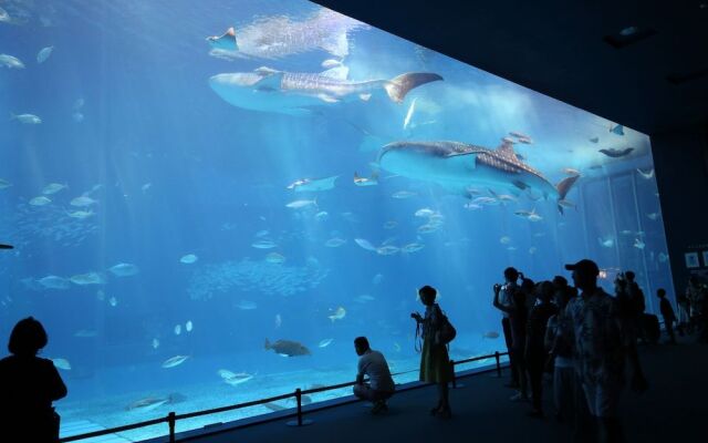 Little Island Okinawa Nago