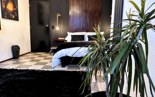 HOMSTY
