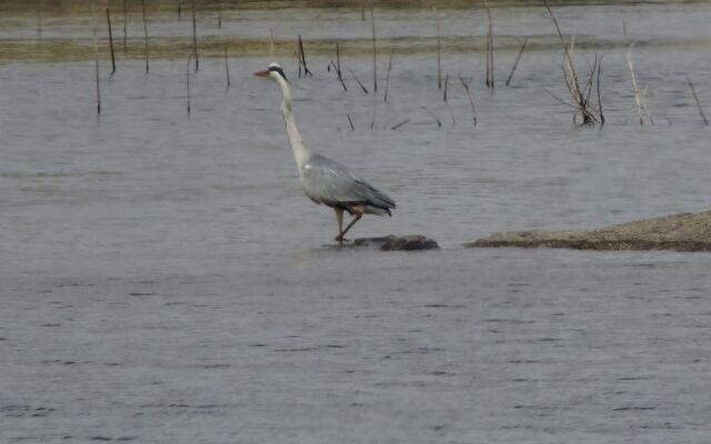 Barbancho Apartaments