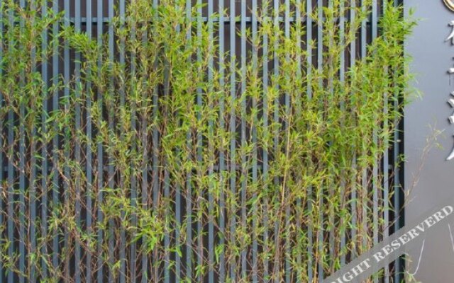 Rezen Retreat Xishuangbanna The Great Pagods Temple