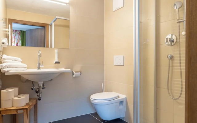 DAS Hubertus Apartments in Schladming