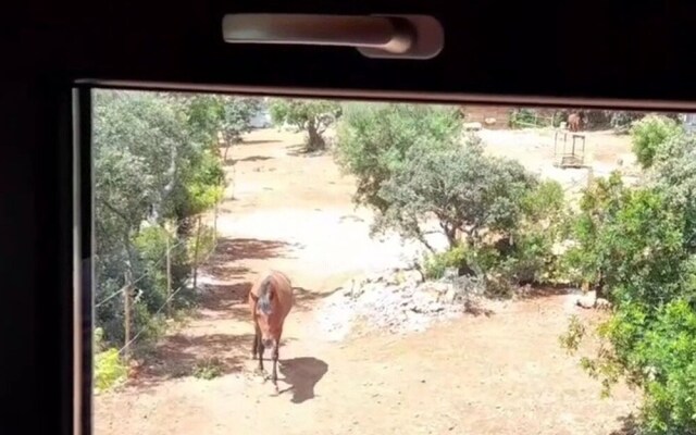 Tiny House & Horses Hébergement Atypique à Loulé