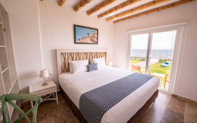 Atoq Paracas Reserva
