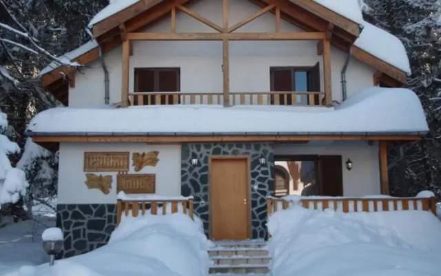 Saint George Borovets Hotel