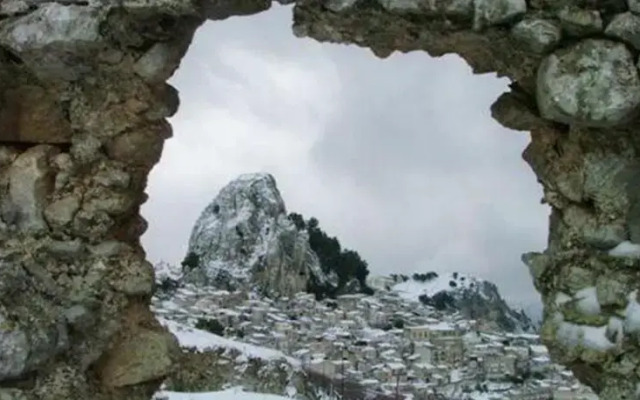 Casa Oleo