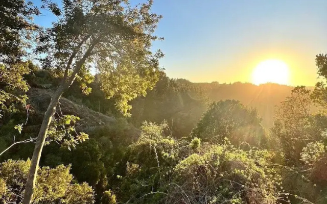 Olas de Buchupureo - con vida de campo