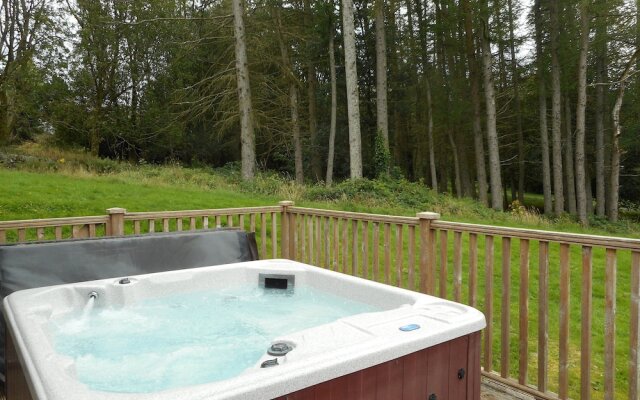 Lord Galloway 32 (H 2016) 82334