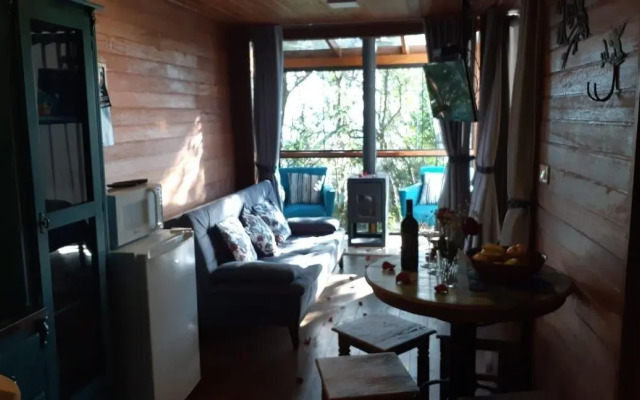 Chalé Beija-flor - Ninho das Aves