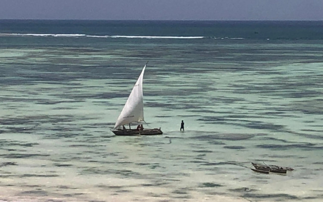 Imani Penthouse - Luxury Ocean View Apartment Nne, Kiwengwa Beach