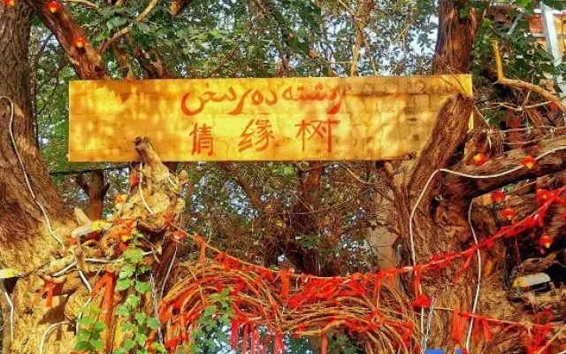 Turpan Grape Village Sand Therapy Homestay (Grape Valley Branch)
