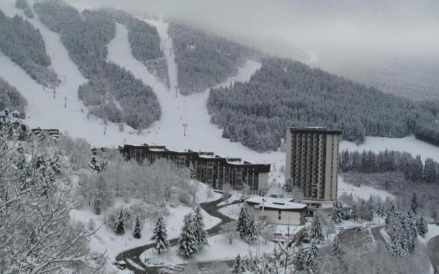 Appartement Villard-de-Lans, 2 pièces, 6 personnes - FR-1-515-66