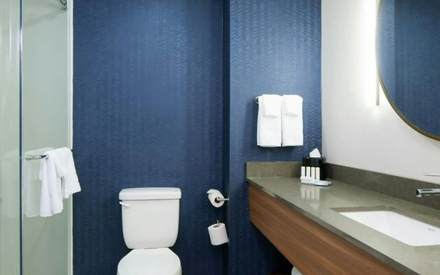 Fairfield Inn & Suites by Marriott Pittsburgh Downtown
