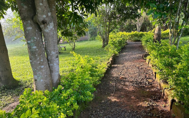 Nguse River Camp