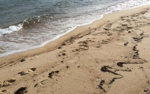 Beach Front Springs