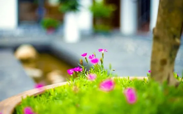 Fanjingshan weijianjingqi homestay