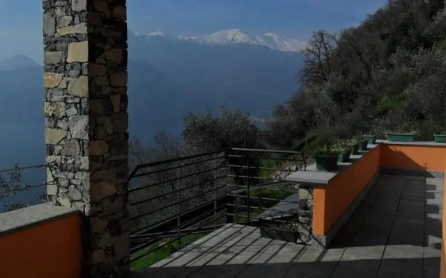 Exclusive Villa Olives Tree