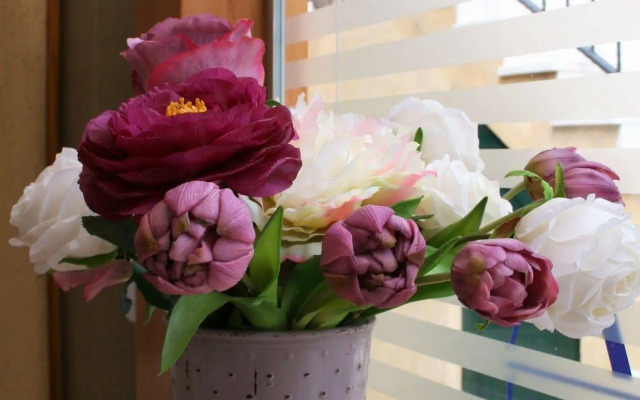 Vida Boutique Hotel