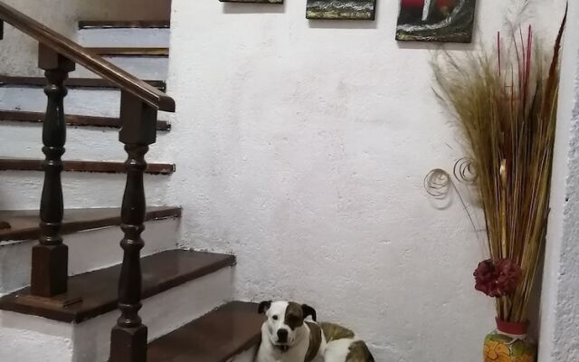 Hostel GTO