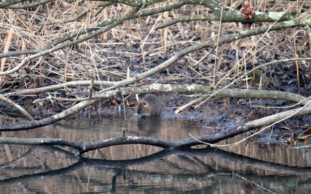 Gastehaus Carpe Diem