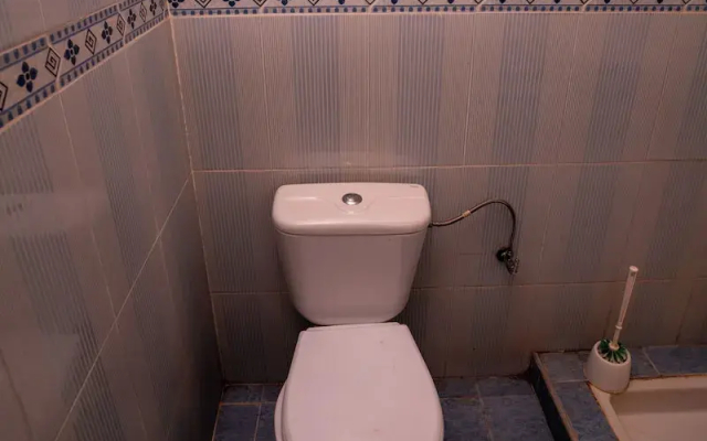 Dar Badiawarda