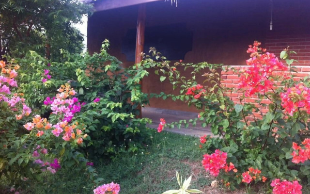 Lotus Chalets Eco Hotel