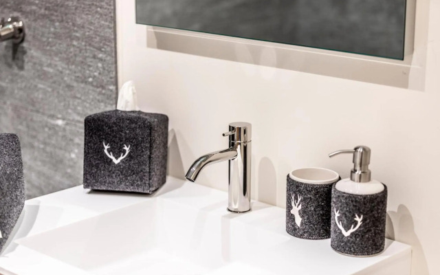 Unique Alpic style apartment in the heart of Davos