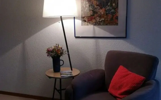 Charming Apartment in Lenk