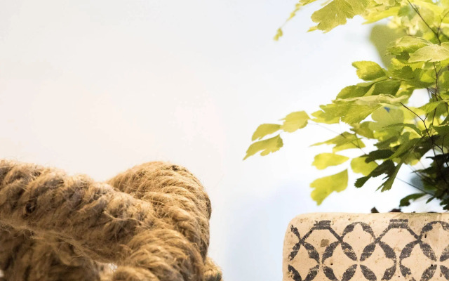 LittleStay Collection - STK