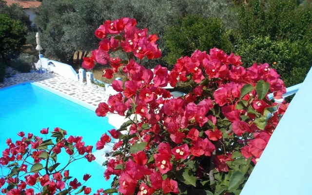Meltemia Studio Samos Near the Beach