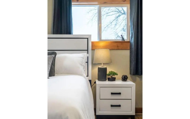 Triceratops Landing I Fire Place I Games I Netflix