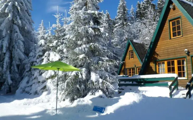 Berggasthof Brand - Finnhütten & Ferienhäuser Am Rennsteig