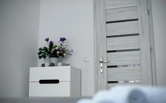 Apartament Przytulny