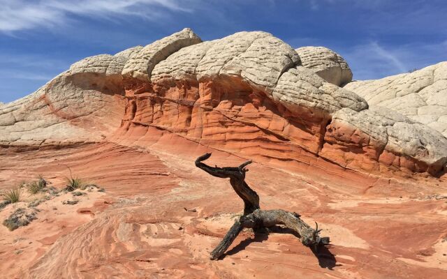 Best Western View Of Lake Powell Hotel