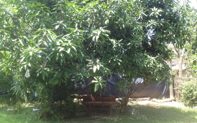Home Feel Home stay