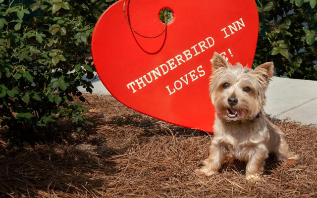 Thunderbird Inn