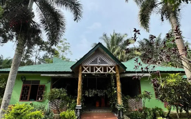 Wisma Batu Mandi and Jungle trekking