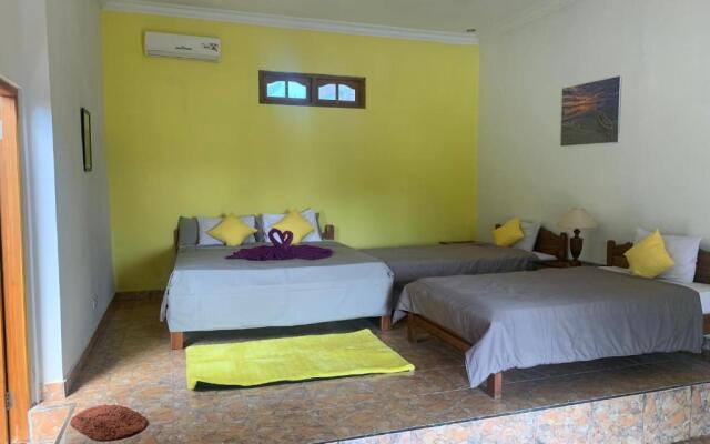 Lovina Vibes Hotel