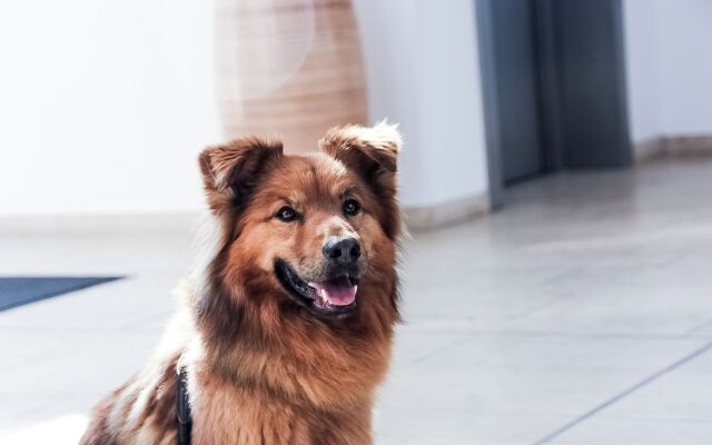 Carat Residenz-Apartmenthaus