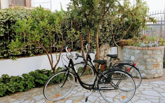 Zama Bed&Breakfast