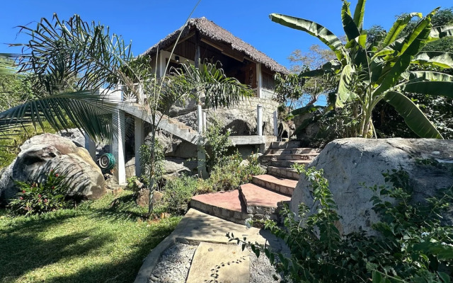 Coconut Lodge