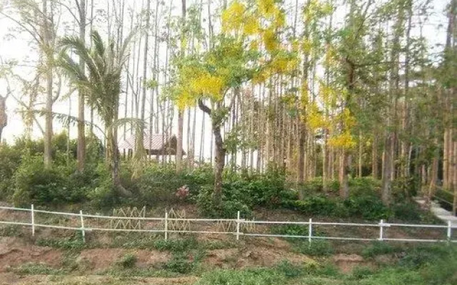 Wangnamkam Riverside Resort
