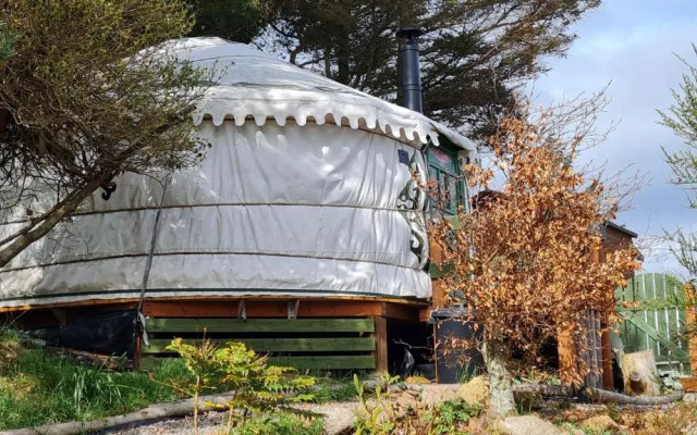 The Tall Pines Yurt